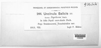 Image Associated With the Occurence